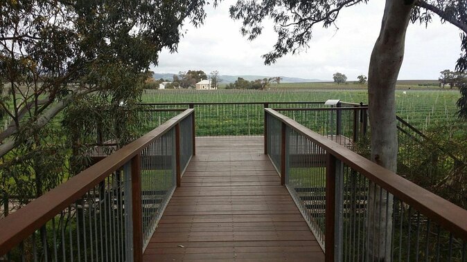 Private Wine Tours McLaren Vale and Surrounding Areas - Good To Know