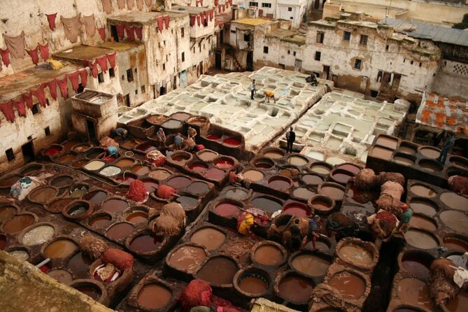 Private Wolking Tours Fez Medina - Good To Know