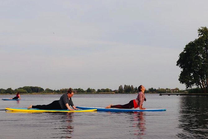2 Best Canoe And Kayak Experiences In South Holland