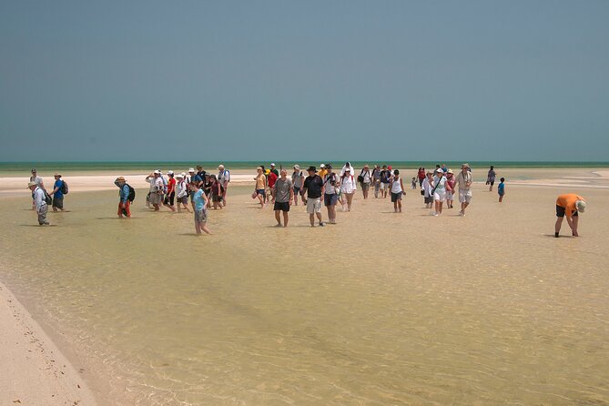 Private Zubara North Coast Tour
