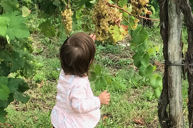 Prosecco Wine Tour