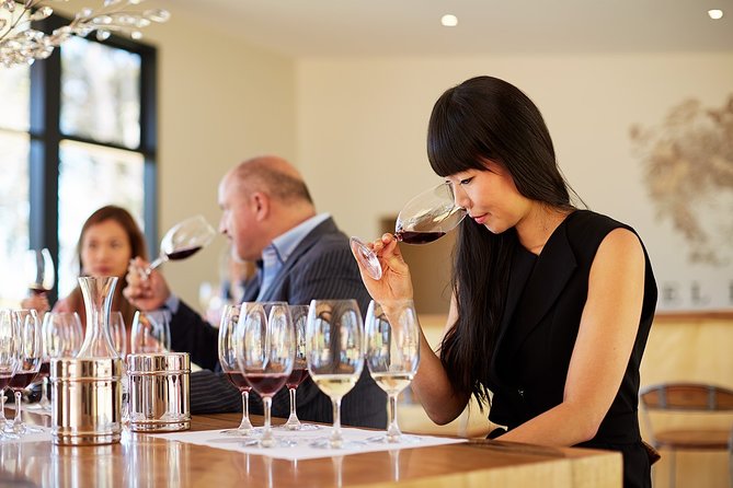 Provenance Unearthed – A Guided Tasting