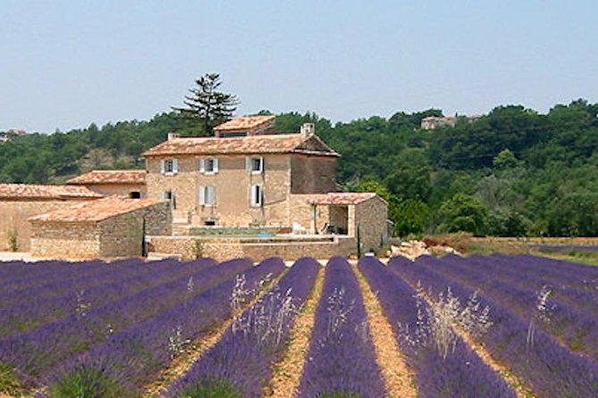 Provence and Lavender - Private & Guided Full Day Tour