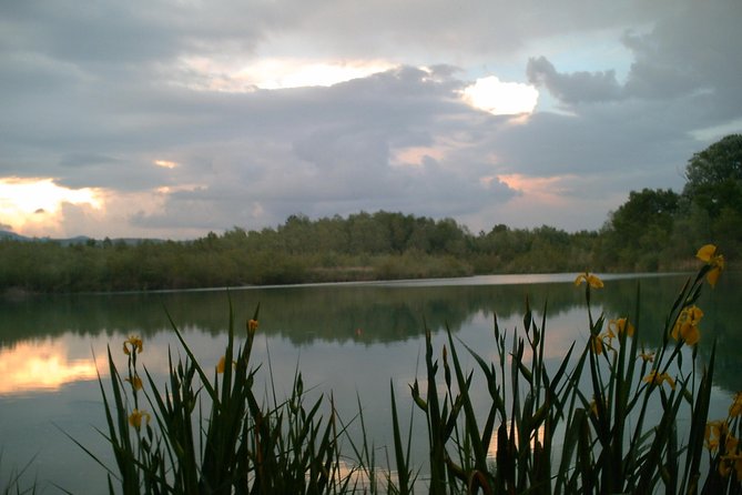 Provence Etang De La Bonde Fishing Half-Day Tour  – Avignon