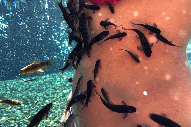 Psoriasis Fish Treatment by Garra Rufa Dr Fish in Turkey for 14 Days - Good To Know