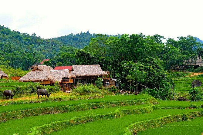 Pu Luong Nature Reserve 2 Days 1 Night Tour From Hanoi - Overview of the Tour