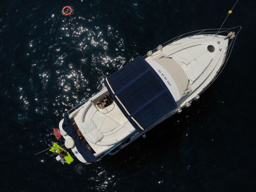 Puerto De Mogan : Dolphin Boat Trip - Good To Know
