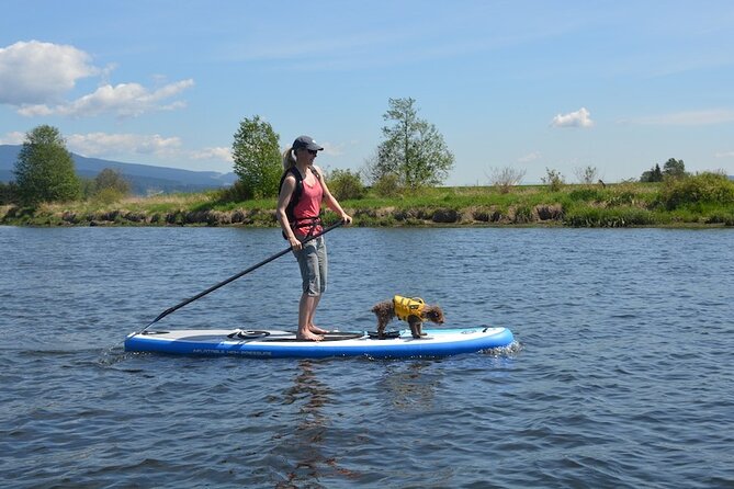 Puerto Plata Cabarete Inflatable Paddle Board/ Kayak Rental - Good To Know