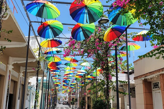 24 Best Tours In Cabarete