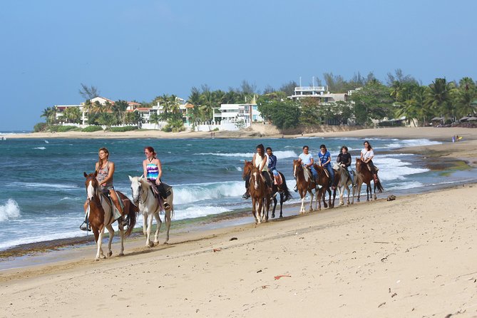 Puerto Rico Horseback Riding Through Secluded Beaches and Tropical Forests
