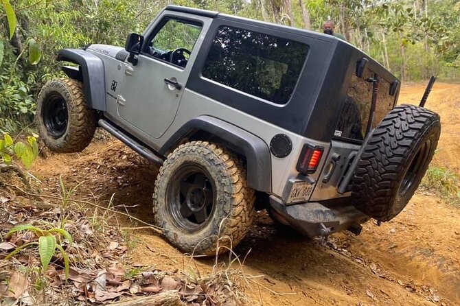 Puerto Rico Private Full-Day Jeep Excursion - Overview and Inclusions