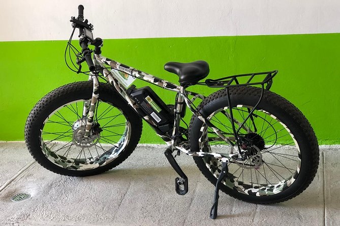 Puerto Vallarta Electric Bike Daily Rental - Good To Know