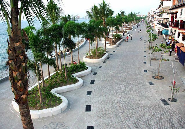 Puerto Vallarta Local-Style Walking Tour