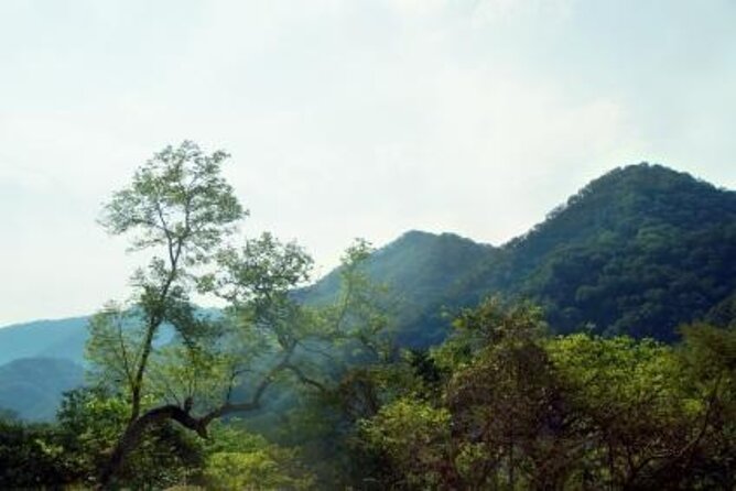 Puerto Vallarta Small-Group Horseback Riding Tour - Good To Know