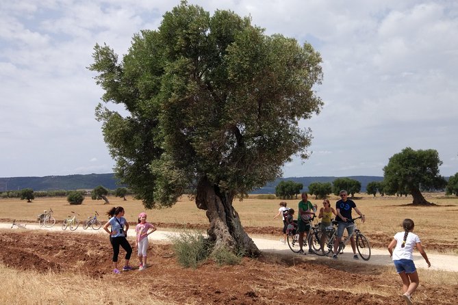 Puglia Bike Tour: Cycling Through the History of Extra Virgin Olive Oil - Good To Know