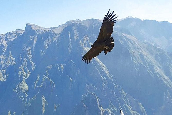 Puno, Chivay and Colca Canyon 2 Days and 1 Night