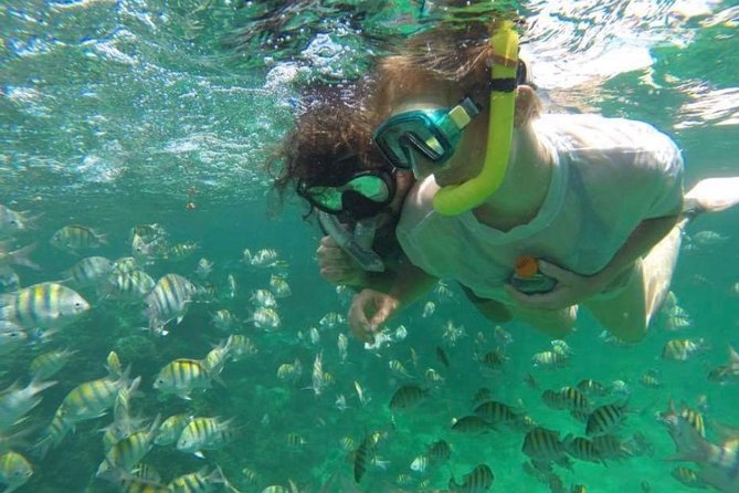 Punta Cana Private Snorkeling Tour By Speedboat - Customer Reviews and Ratings