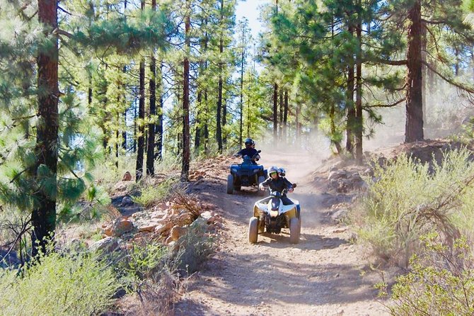 Quad Bike Tour Off-Road Adventure in Teide National Park - Good To Know