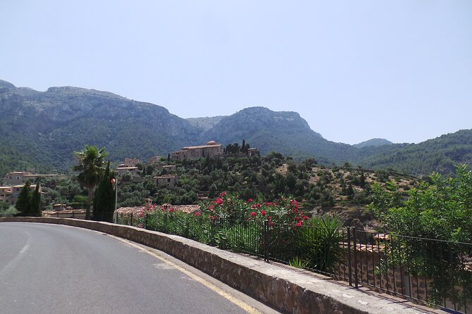 Quad Day Tour From Paguera - Meeting and Pickup Information