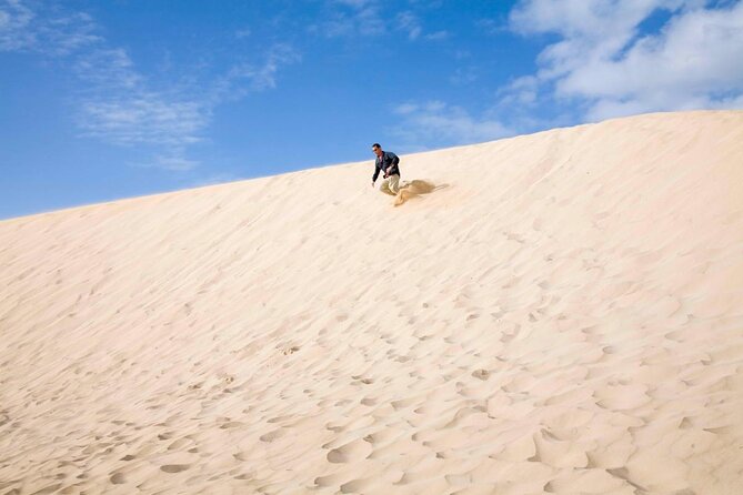 7 Best Safari Tours In Fuerteventura