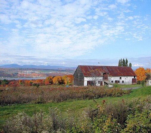 Quebec City :Ebikes Rental ,Wine,Chocolate,Berries and Landscape - Good To Know