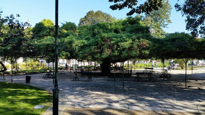 Queer Lisbon - A Treasure Hunt in LGBT History
