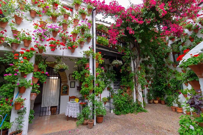Queue-Free Entrance to PATIOS De Córdoba