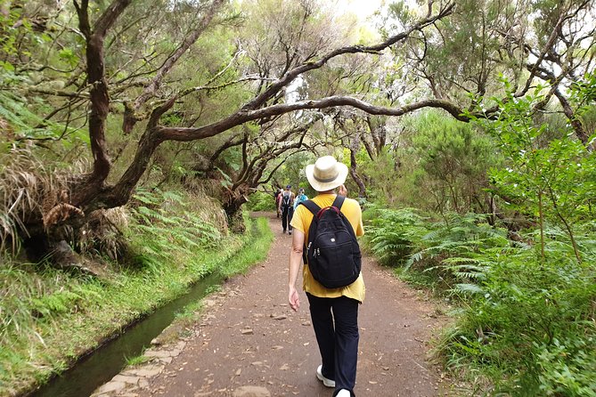 Rabacal Valley 25 Waterfalls Tour From Canico - Funchal