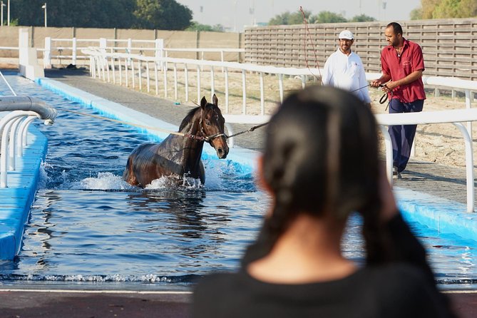 Racehorse Stable Tour With Breakfast at Meydan Racecourse - Good To Know