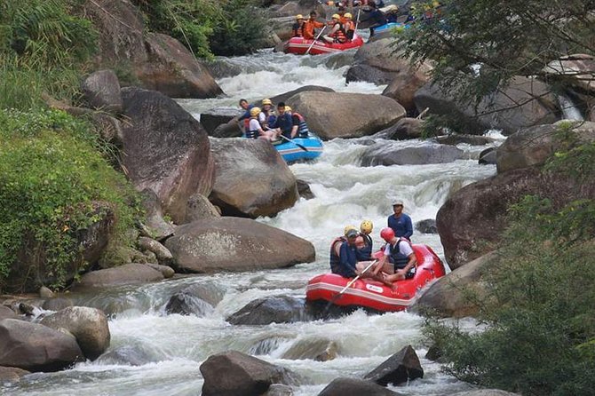 Rafting 5 Km, ATV 30 Mins, Fly Fox and Jungle Tour From Phuket - Good To Know