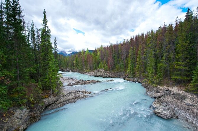 Rafting Adventure on the Kicking Horse River