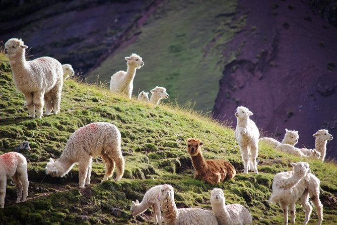 Rainbow Mountain on Horseback - Ride Through Peruvian Villages