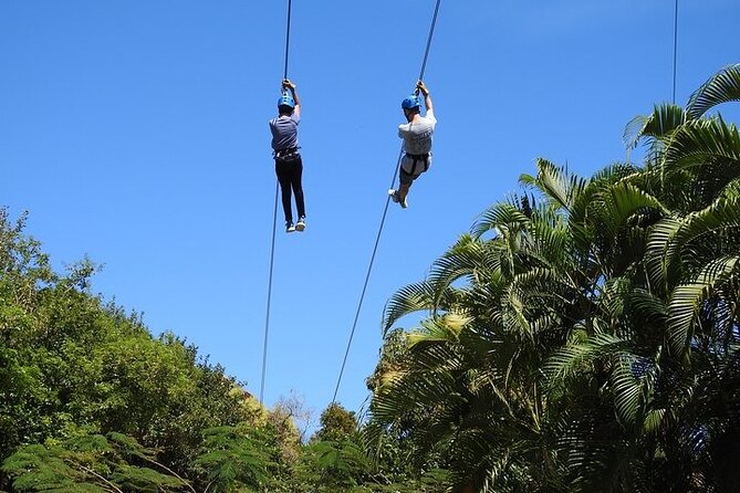 Rainforest Zipline in the El Yunque Foothills