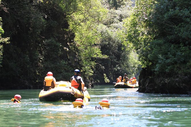 Rangitaiki River White Water Scenic Rafting From Rotorua