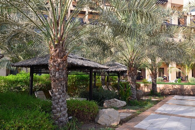 Ras Al Khaimah City Tour - Half Day