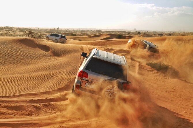 Ras Al Khaimah Desert Safari With Dune Bash, Dinner and Shows