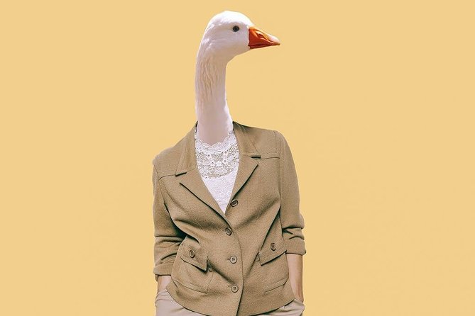 Real Life Game of the Goose – Interactive City Walk in Antwerp
