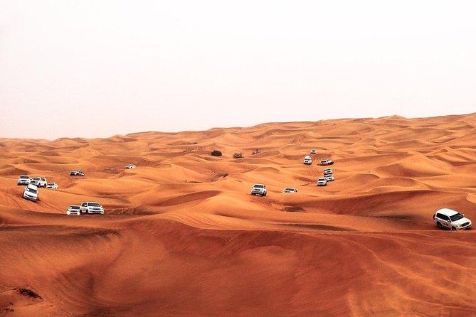 Red Dune Desert Safari With Quad Bike, Camel Ride And BBQ Dinner - Pricing and Reservation
