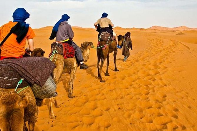 Red Dunes Desert Safari Plus ATV Quad Bike Ride (Land Cruiser) - Good To Know