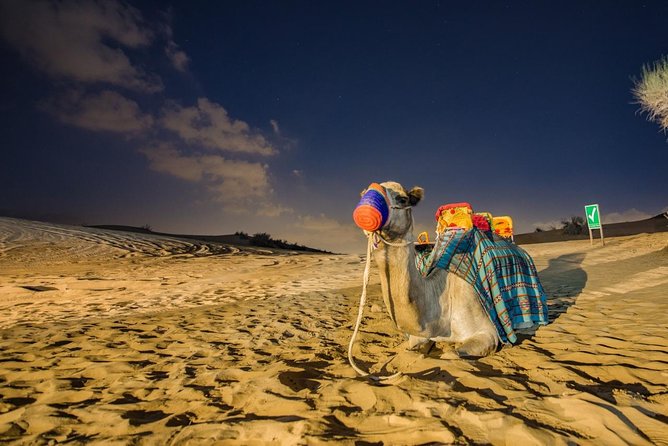 Red Dunes Desert Safari With BBQ Dinner - Good To Know