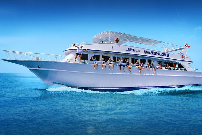 Red Sea Full-Day Introduction to Scuba Diving - Good To Know