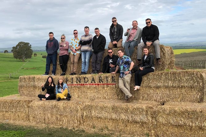 Red White & Brew - Wine, Gin & Beer Tour With Tastings From Adelaide - Good To Know