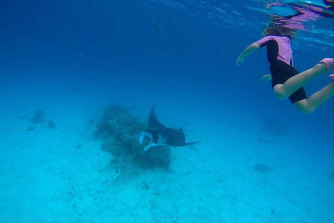 Reef Discovery Private Full Day Lagoon Tour & Motu Lunch - Tour Duration and Itinerary