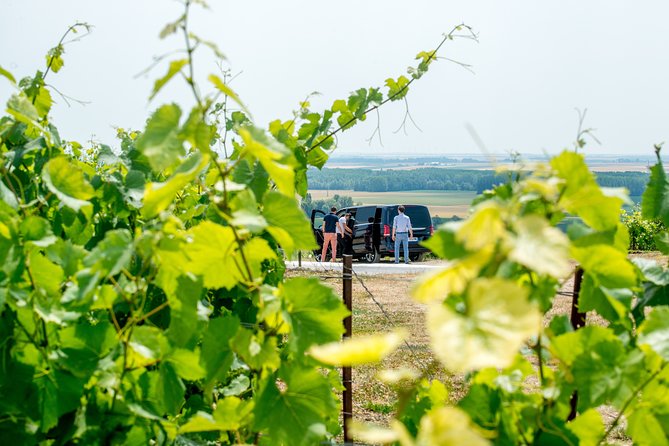 Reims or Epernay Region: Half Day Private Tour Minivan and Driver at Disposal - Good To Know