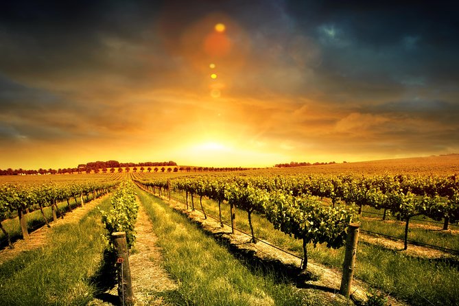 Relaxing Three Courses Lunch & Wine Tour Through Niagaras Wine Country - Tour Highlights