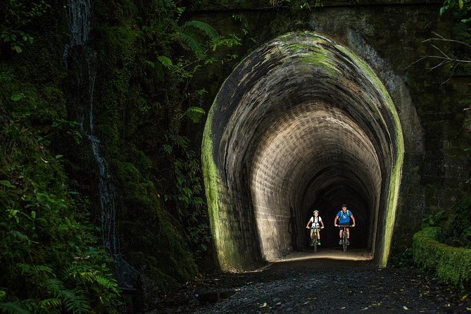 Remutaka Rail Trail Mountain Bike Explorer Cycle Tour