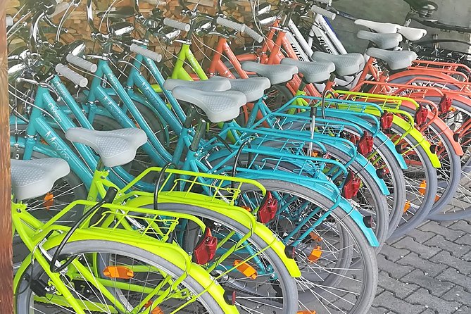 Rent a Bike From Munich to Neuschwanstein Castle - Good To Know