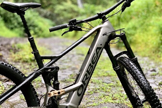 Rental of an Electric Mountain Bike on the Tahiti Peninsula - Booking Process and Details