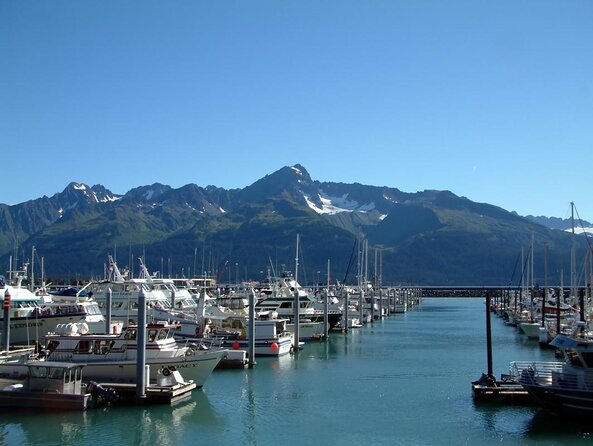 Resurrection Bay Cruise With Fox Island