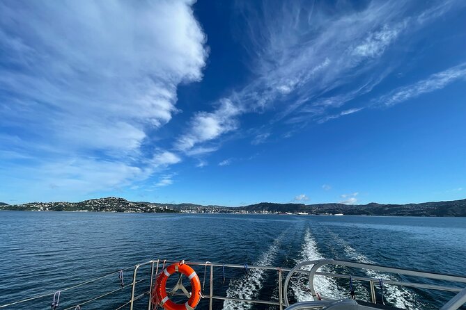 Return Ferry Trip to MāTiu/Somes Island